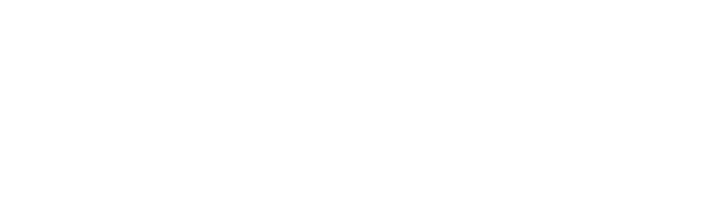 Dr. Holldorf Consult